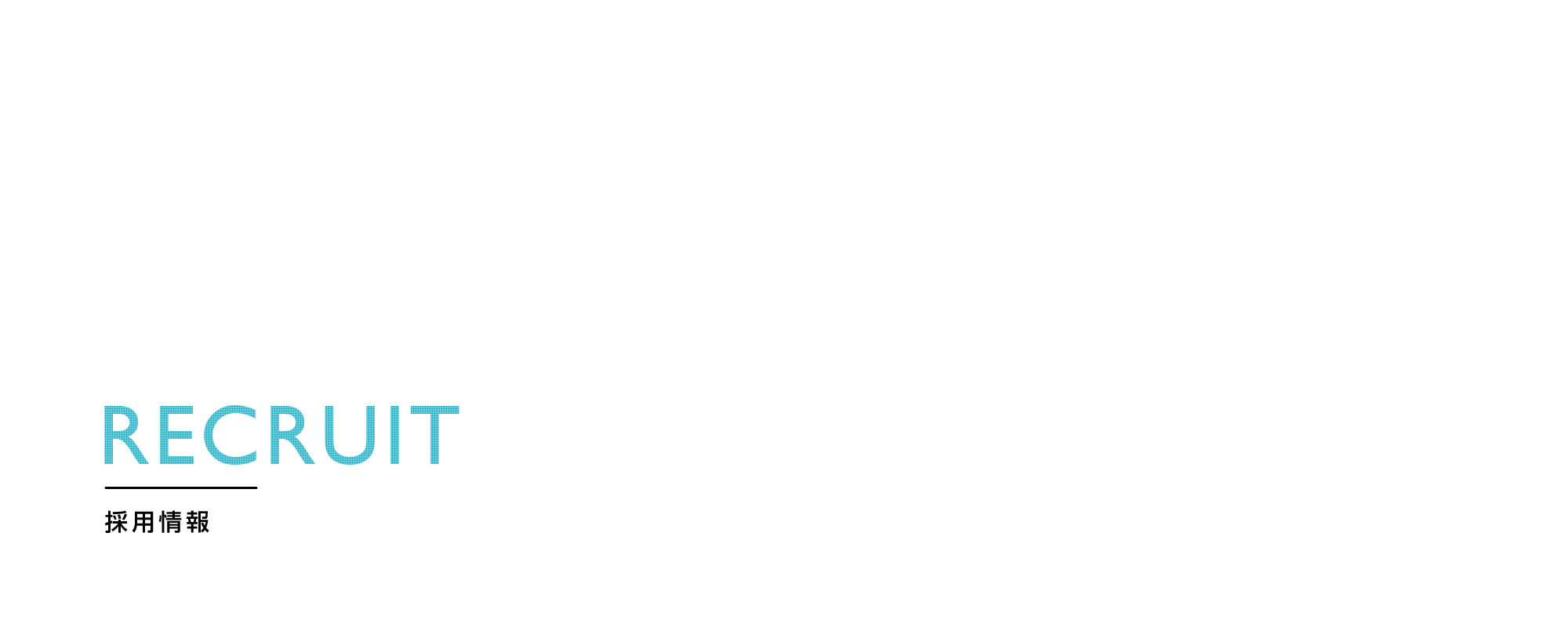 採用情報